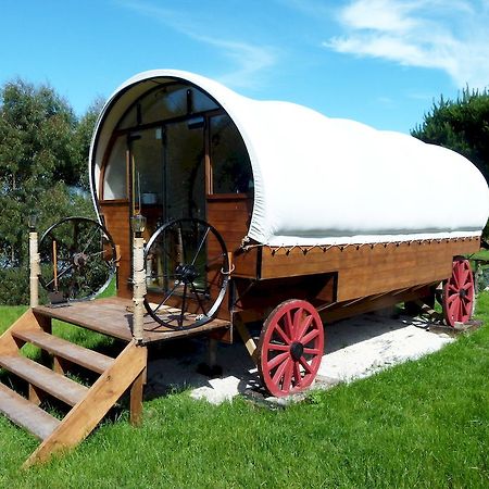 Wacky Stays - Unique Farm-Stay Glamping Rentals, Free Animal Feeding Tours Кайкоура Екстер'єр фото