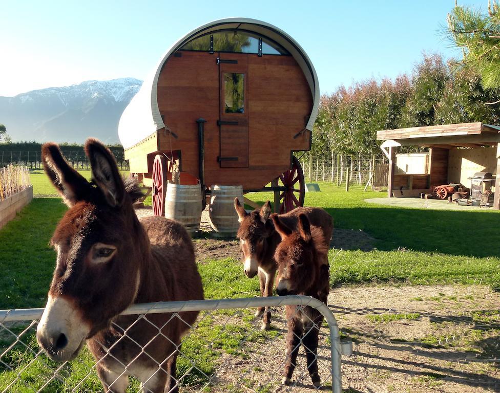 Wacky Stays - Unique Farm-Stay Glamping Rentals, Free Animal Feeding Tours Кайкоура Екстер'єр фото