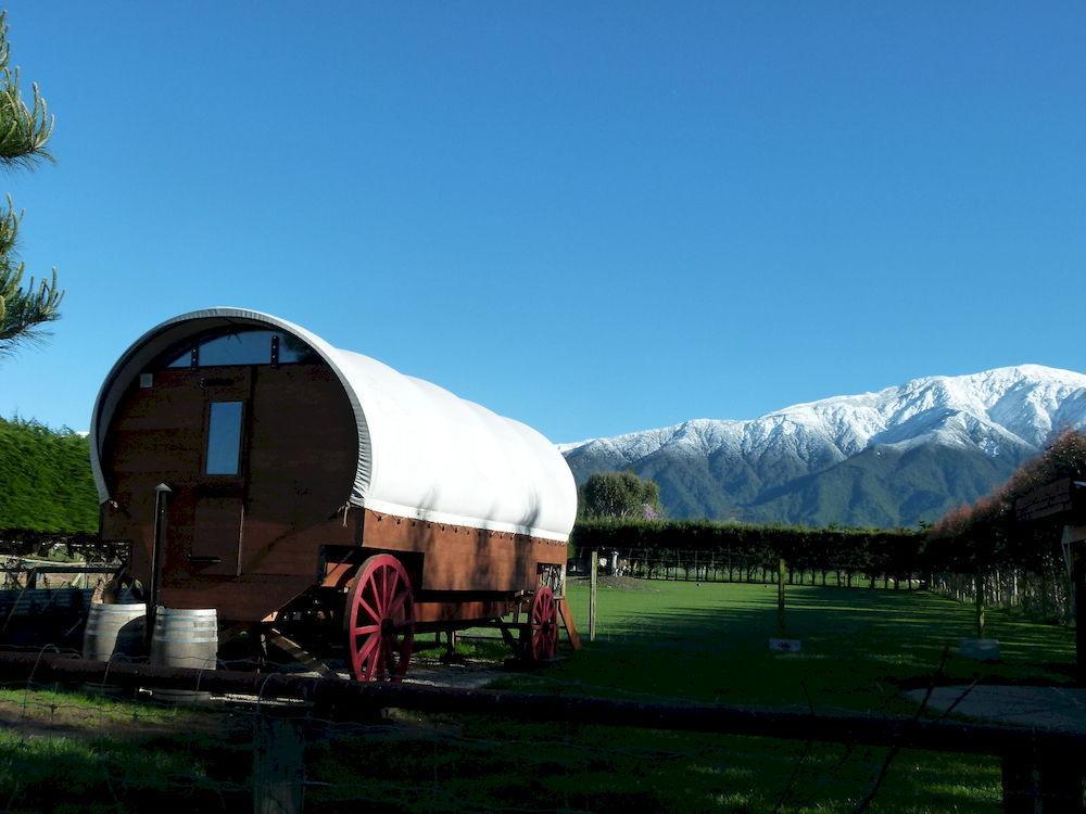 Wacky Stays - Unique Farm-Stay Glamping Rentals, Free Animal Feeding Tours Кайкоура Екстер'єр фото