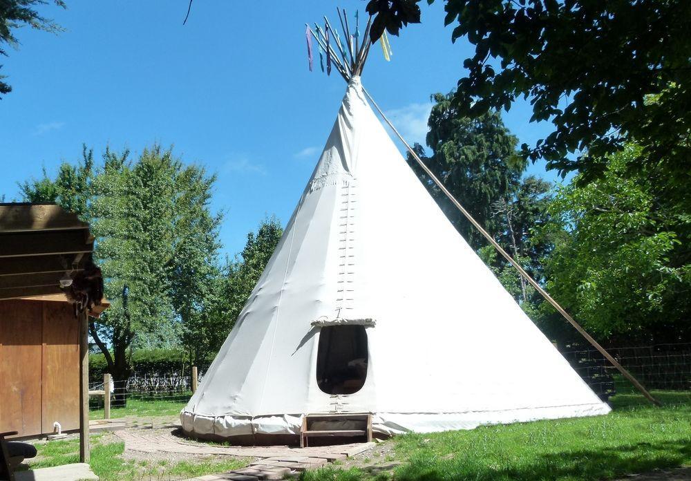 Wacky Stays - Unique Farm-Stay Glamping Rentals, Free Animal Feeding Tours Кайкоура Екстер'єр фото