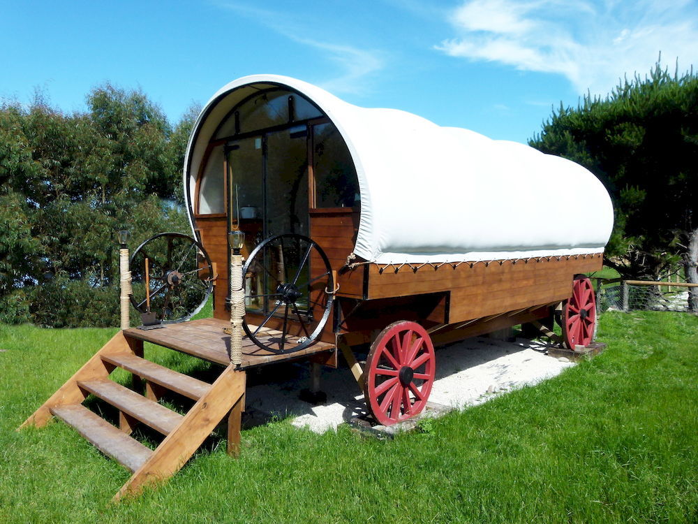 Wacky Stays - Unique Farm-Stay Glamping Rentals, Free Animal Feeding Tours Кайкоура Екстер'єр фото