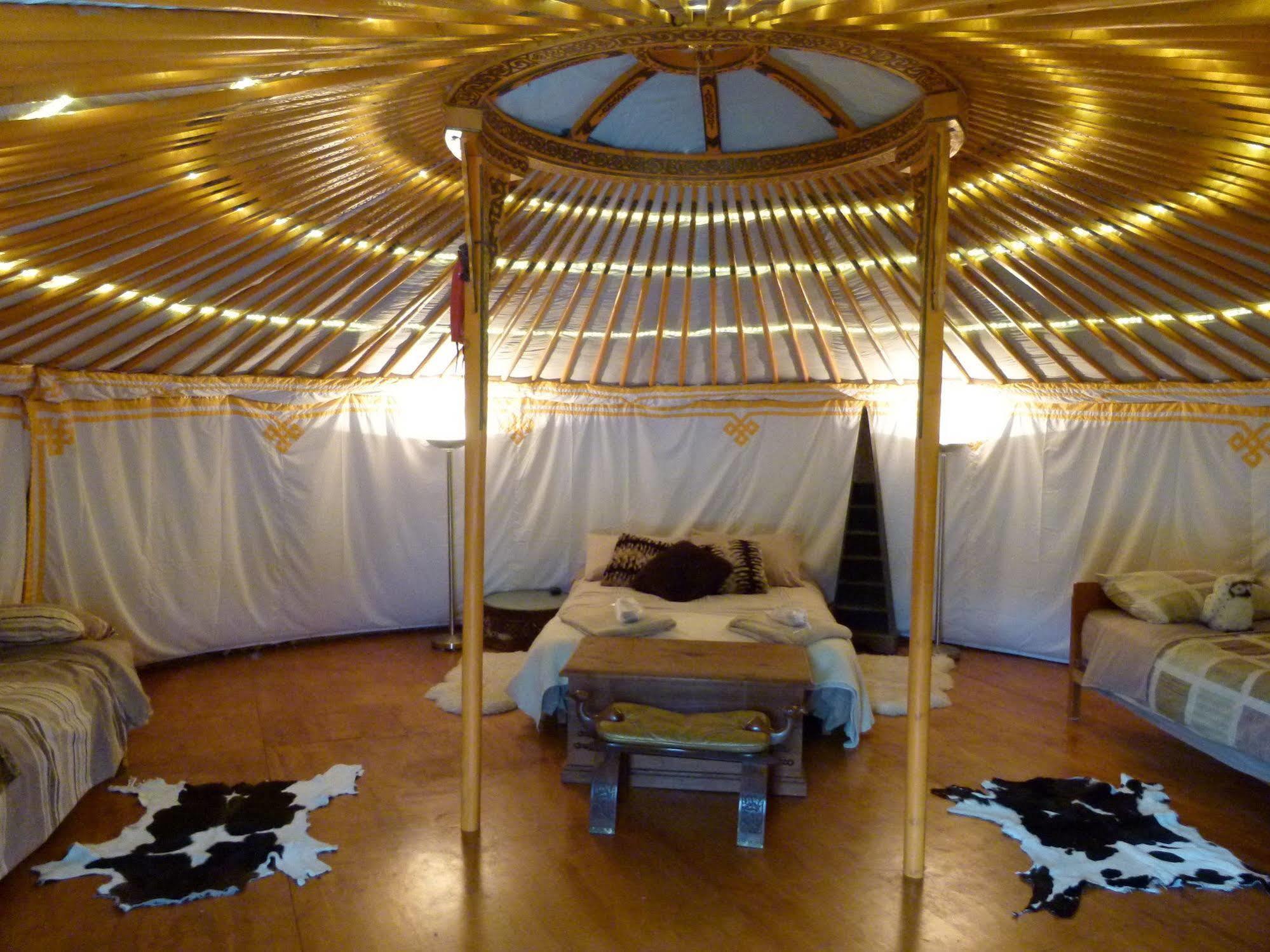 Wacky Stays - Unique Farm-Stay Glamping Rentals, Free Animal Feeding Tours Кайкоура Екстер'єр фото