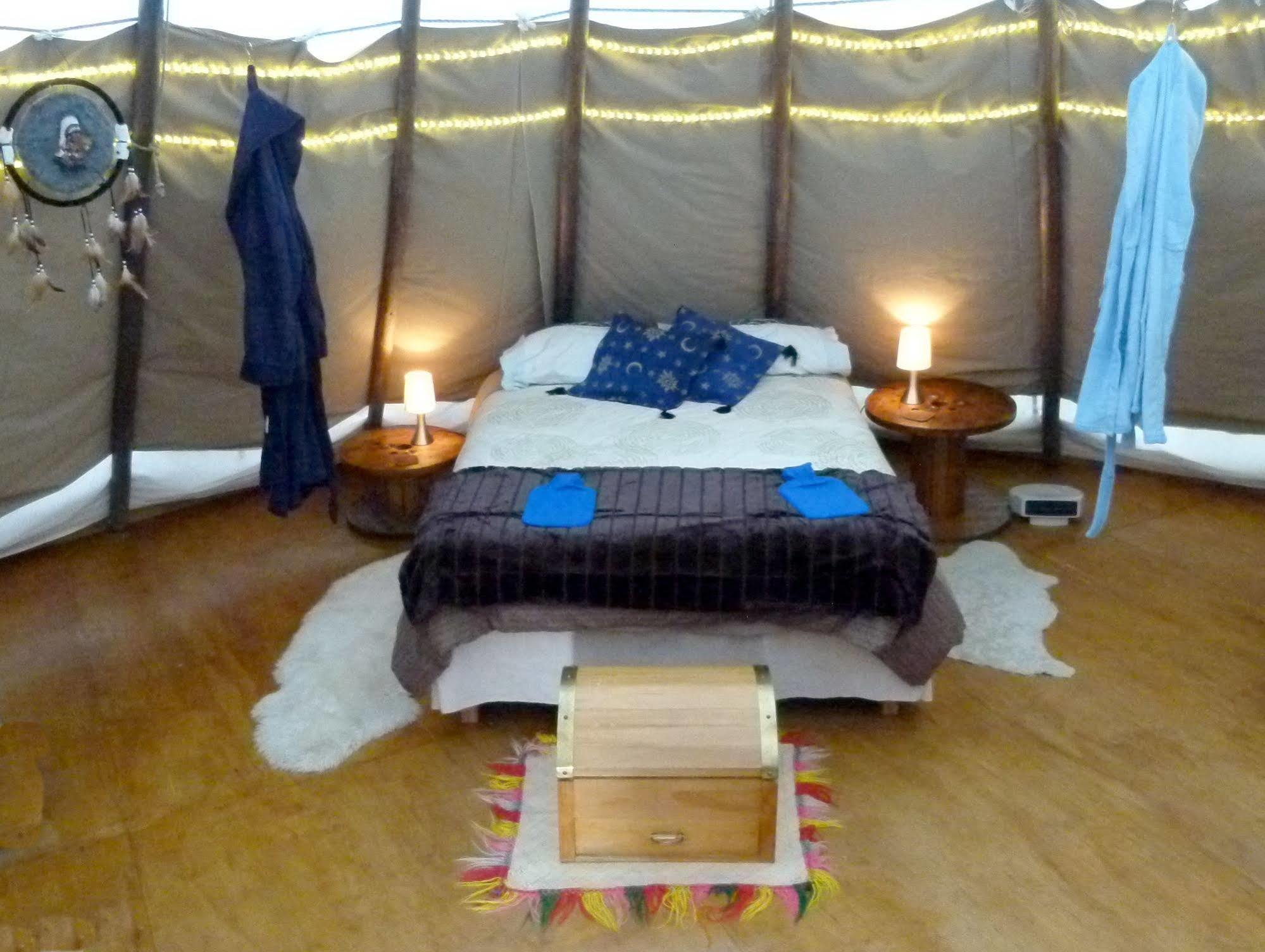 Wacky Stays - Unique Farm-Stay Glamping Rentals, Free Animal Feeding Tours Кайкоура Екстер'єр фото